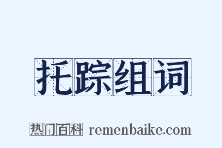 托踪组词是什么意思的图片